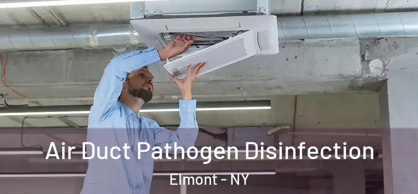  Air Duct Pathogen Disinfection Elmont - NY