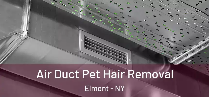 Air Duct Pet Hair Removal Elmont - NY