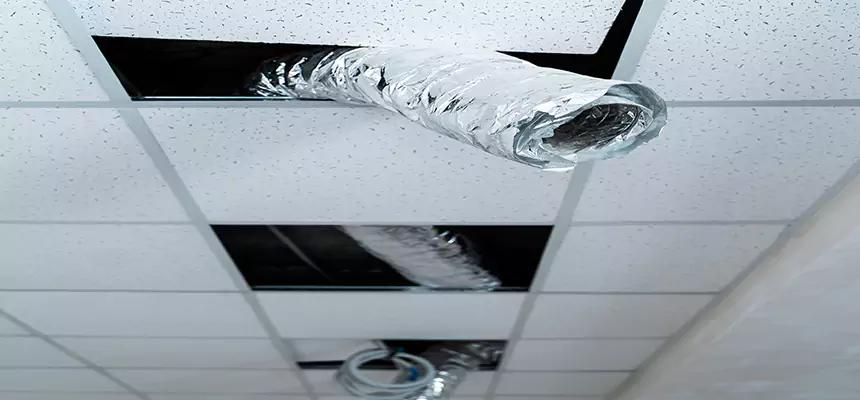 Affordable HVAC Sanitizing After Pest Removal in Elmont