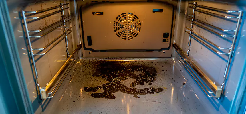 Our Dryer Vent Mold Cleaning Services in Elmont, NY