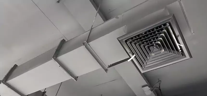 Our Rodent Droppings In Vents Services in Elmont, NY