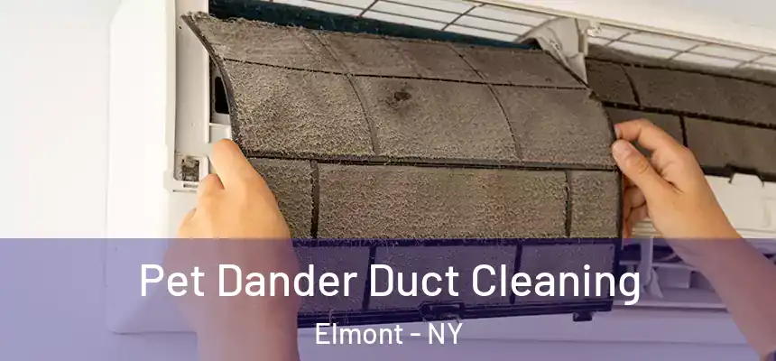  Pet Dander Duct Cleaning Elmont - NY