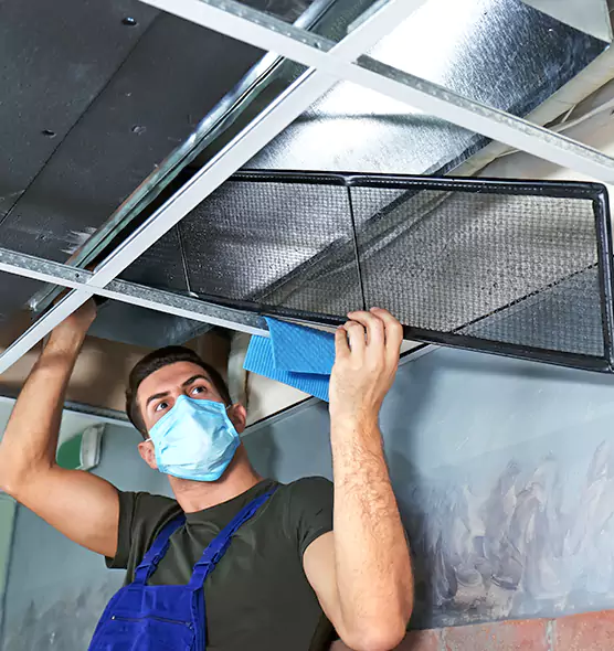 Professional Air Duct Pollen Cleaning in Elmont, NY