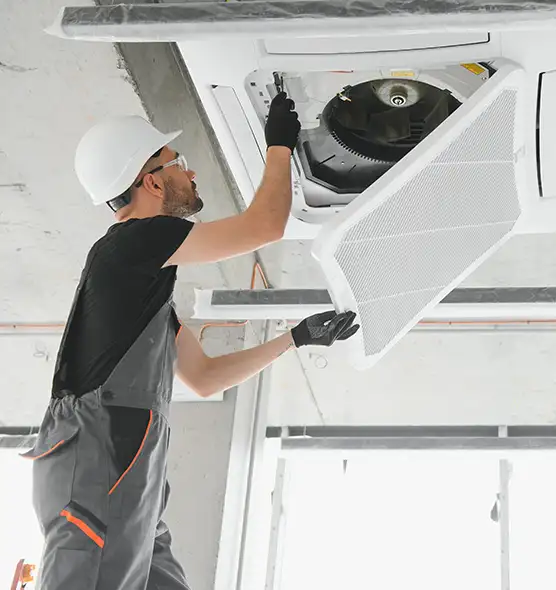 About Air Duct Rodent Removal in Elmont, NY