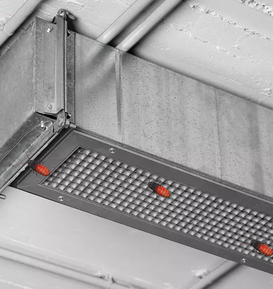 Affordable Insect Removal from Air Ducts in Elmont, NY
