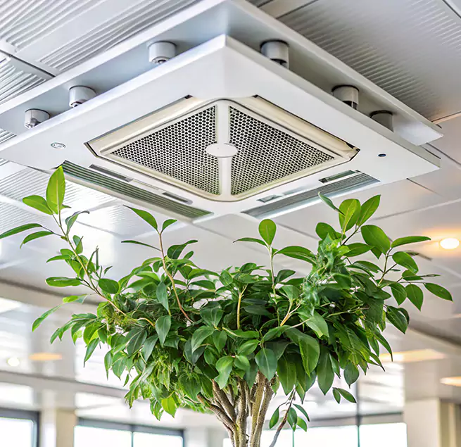 Why Homeowners & Businesses Trust Us in Elmont, NY?